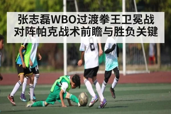 张志磊WBO过渡拳王卫冕战对阵帕克战术前瞻与胜负关键